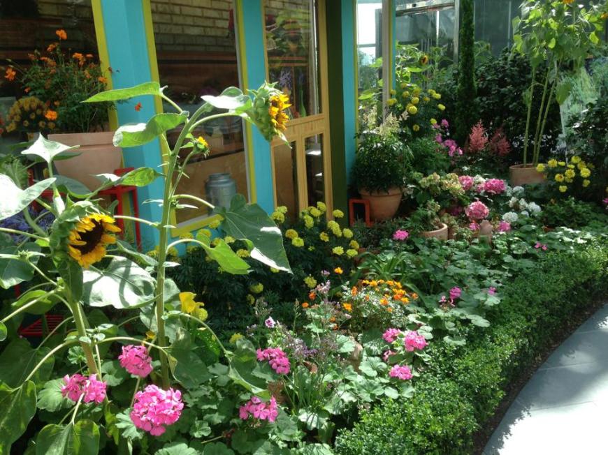 10355853_10152558165443694_1280944172701170795_n